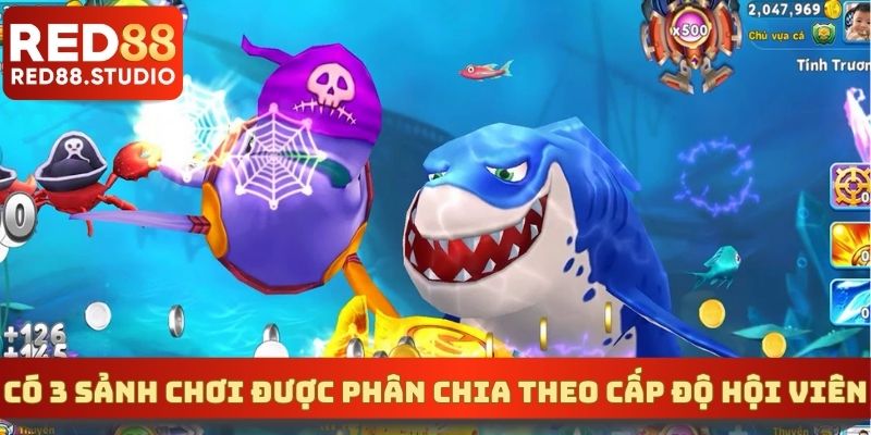 Có 3 sảnh chơi được phân chia theo cấp độ hội viên