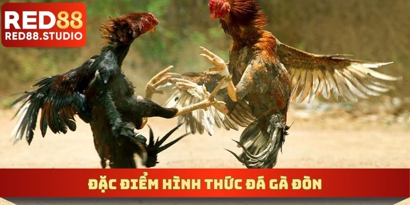 Đặc điểm hình thức đá gà đòn