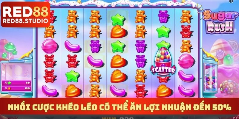 Nhồi cược khéo léo có thể ăn lợi nhuận đến 50%