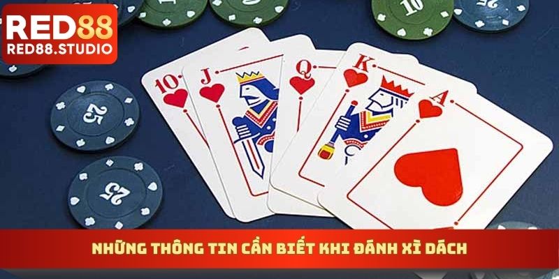 Những thông tin cần biết khi đánh xì dách