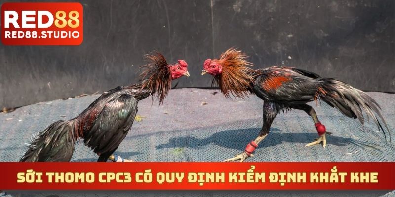 Sới Thomo CPC3 có quy định kiểm định khắt khe