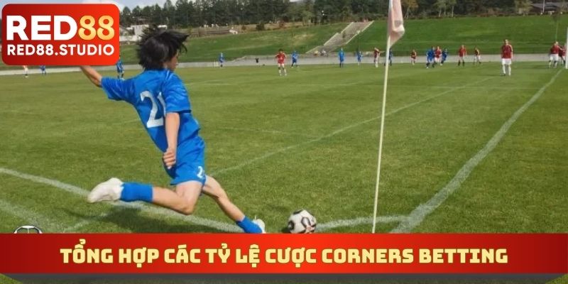 Tổng hợp các tỷ lệ cược corners betting