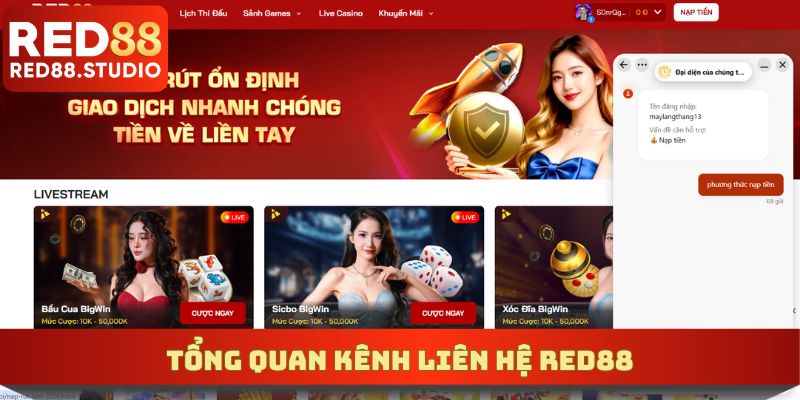 Sơ lược về bộ phận liên hệ CSKH cổng cược